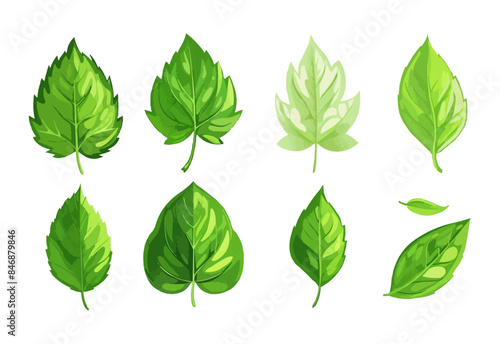 vector set of different isolated green leaves icon white background 