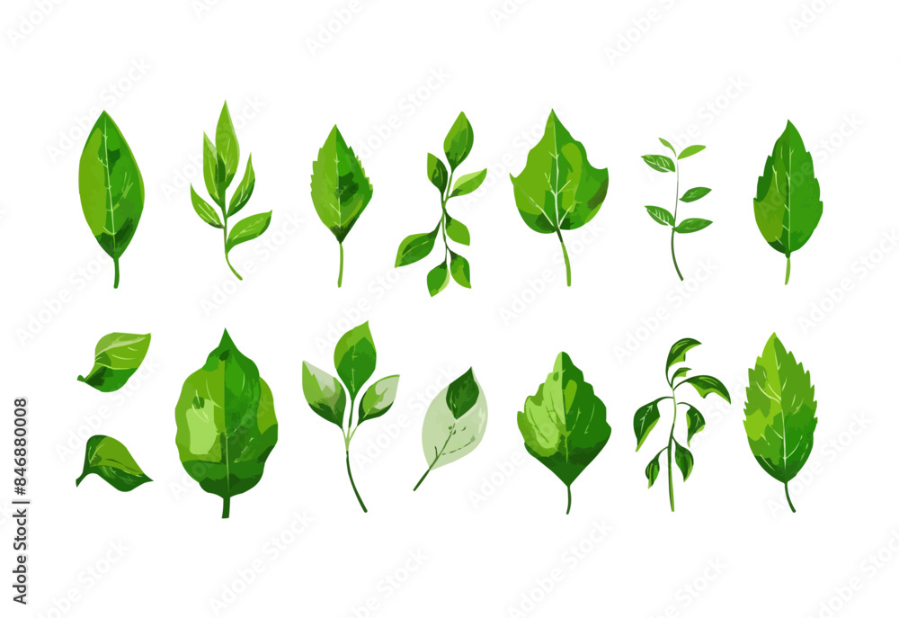 vector set of different isolated green leaves icon white background vector set of different isolated green leaves icon white background