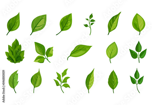 vector set of different isolated green leaves icon white background 