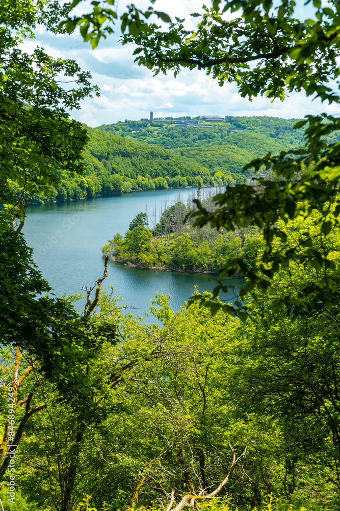 Fototapeta premium Blick auf die Urft und Burg Vogelsang im Nationalpark Eifel im Sommer - Urftsee 