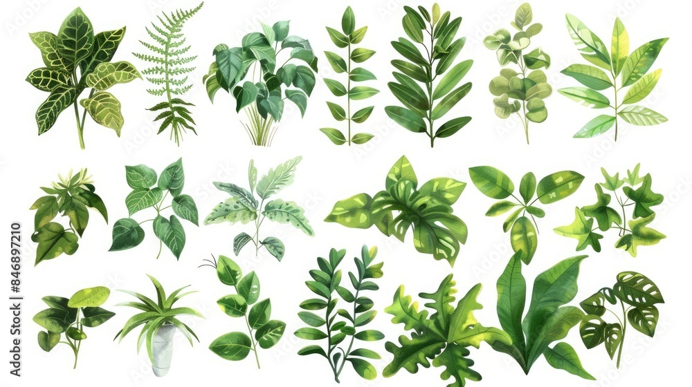 A collection of verdant foliage A collection of verdant foliage
