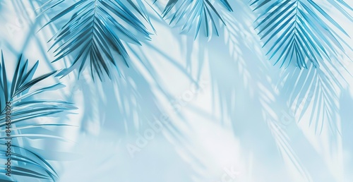Tropical palm leaves casting delicate shadows on white background. Cool blue tones illustration ideal for modern decor, branding or backgrounds