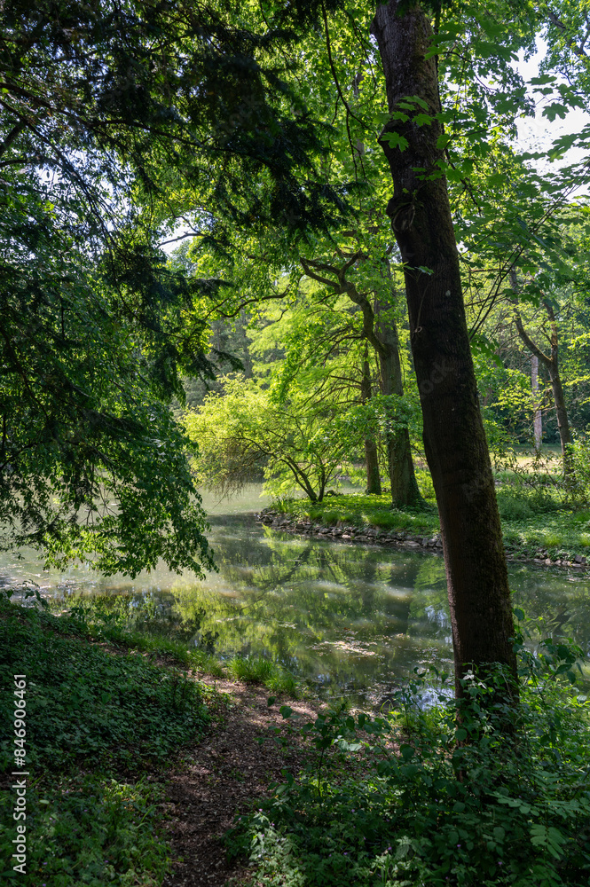 A lake in green nature with trees A lake in green nature with trees