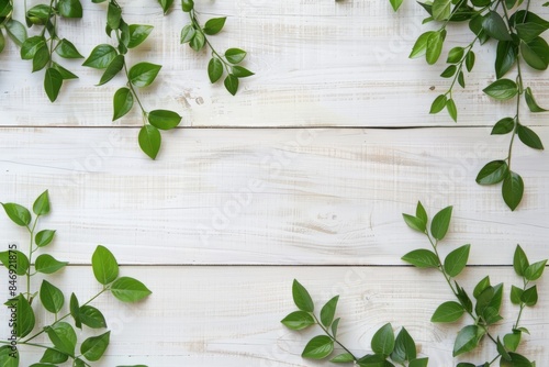 White wooden background with green plants on the left side, white wood banner template
