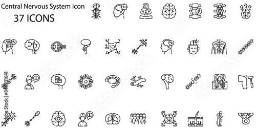 Set of central nervous system icons. Line art style icons bundle. vector illustration
