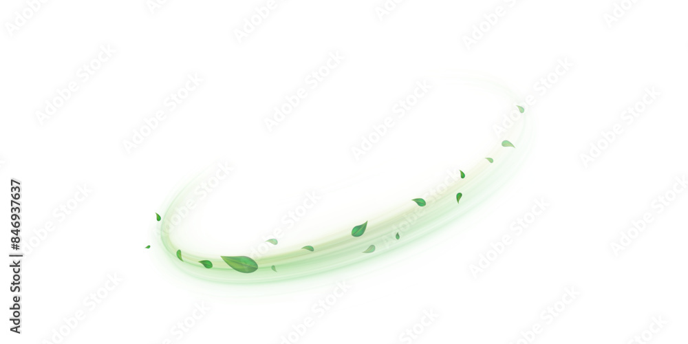 Green air swirl effect with flying mint leaves isolated on white background PNG, vector realistic illustration for advertising design.
Green air swirl effect with flying mint leaves isolated on white background PNG, vector realistic illustration for advertising design.