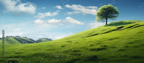 Amidst the vibrant greenery...