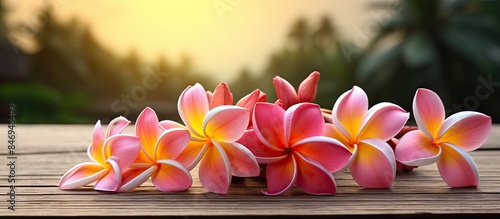 Pink and yellow flowers dis...