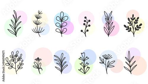 Hand Drawn Botanical Elements Vector Set, minimal drawn floral leaves botanical line art on colorful circle background, Hand drawn leaves line Floral branch, Vector illustration EPS 10