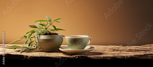 Plant in pot beside coffee ...