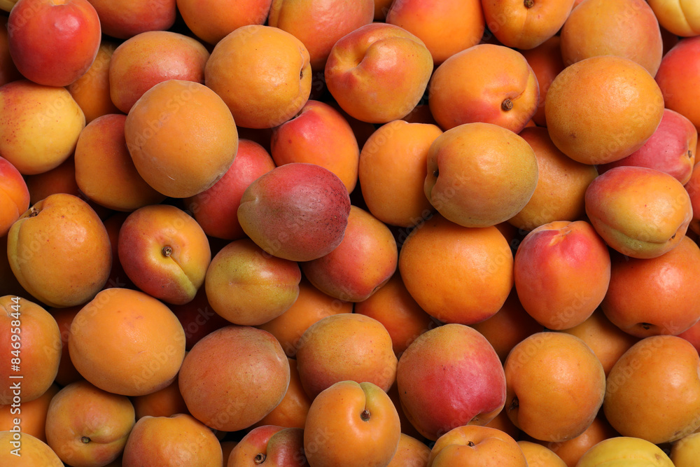 Delicious fresh ripe apricots as background, top view Delicious fresh ripe apricots as background, top view