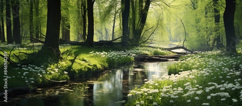 Tranquil stream meandering ...