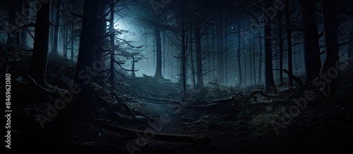 The dimly lit pathway meand...