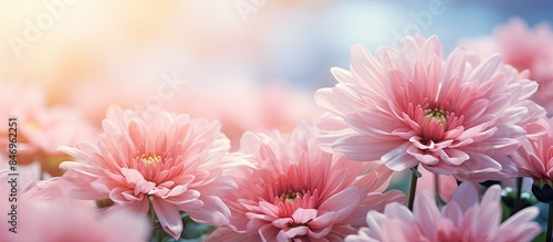 Lush pink flowers bloom abu...