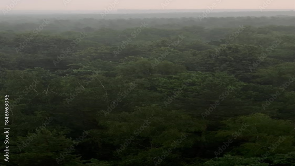 Very heavy rain in summer over the forest Very heavy rain in summer over the forest