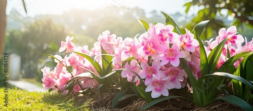 Large-wheeled truck maneuve...