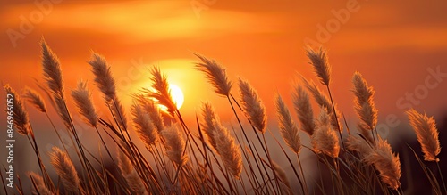 Glowing sun setting behind ...