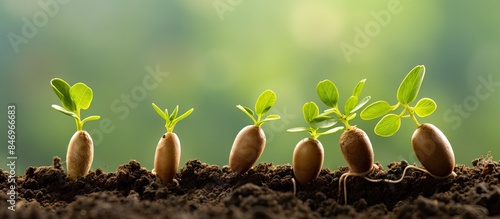 Close-up view of a row of y...