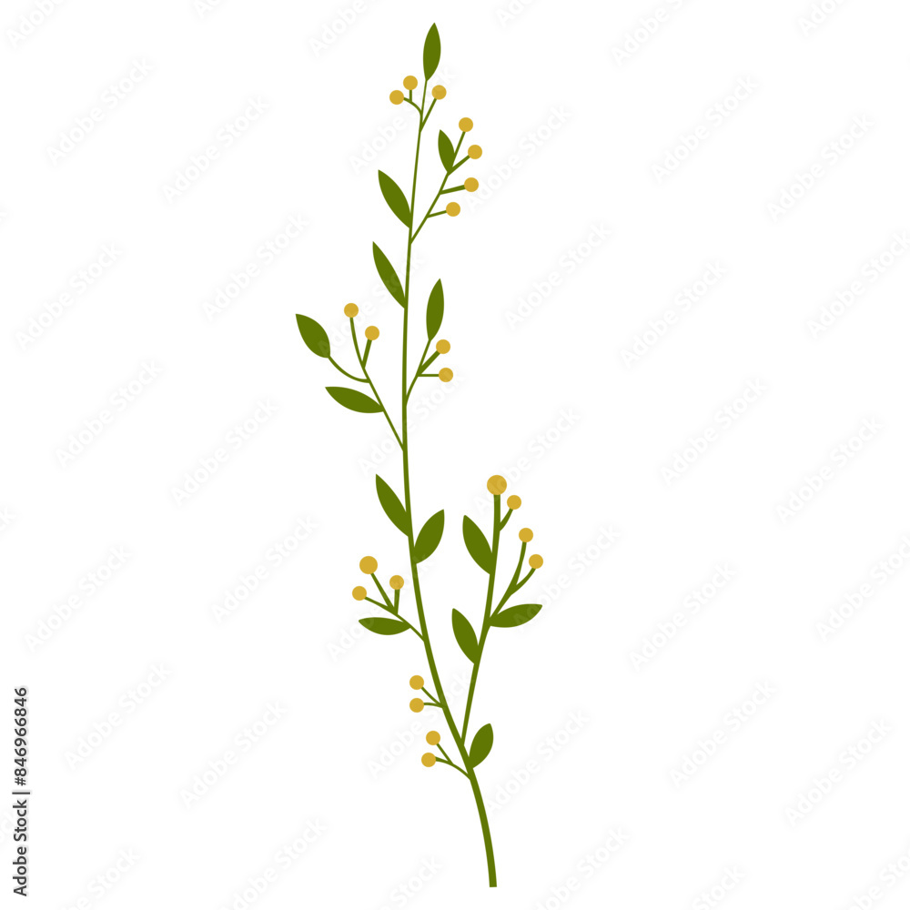 Obraz premium Fresh Green Tropical Leaf, Design Vector Element Flower and Leaves 