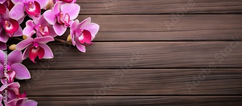 Single orchid bloom delicat...