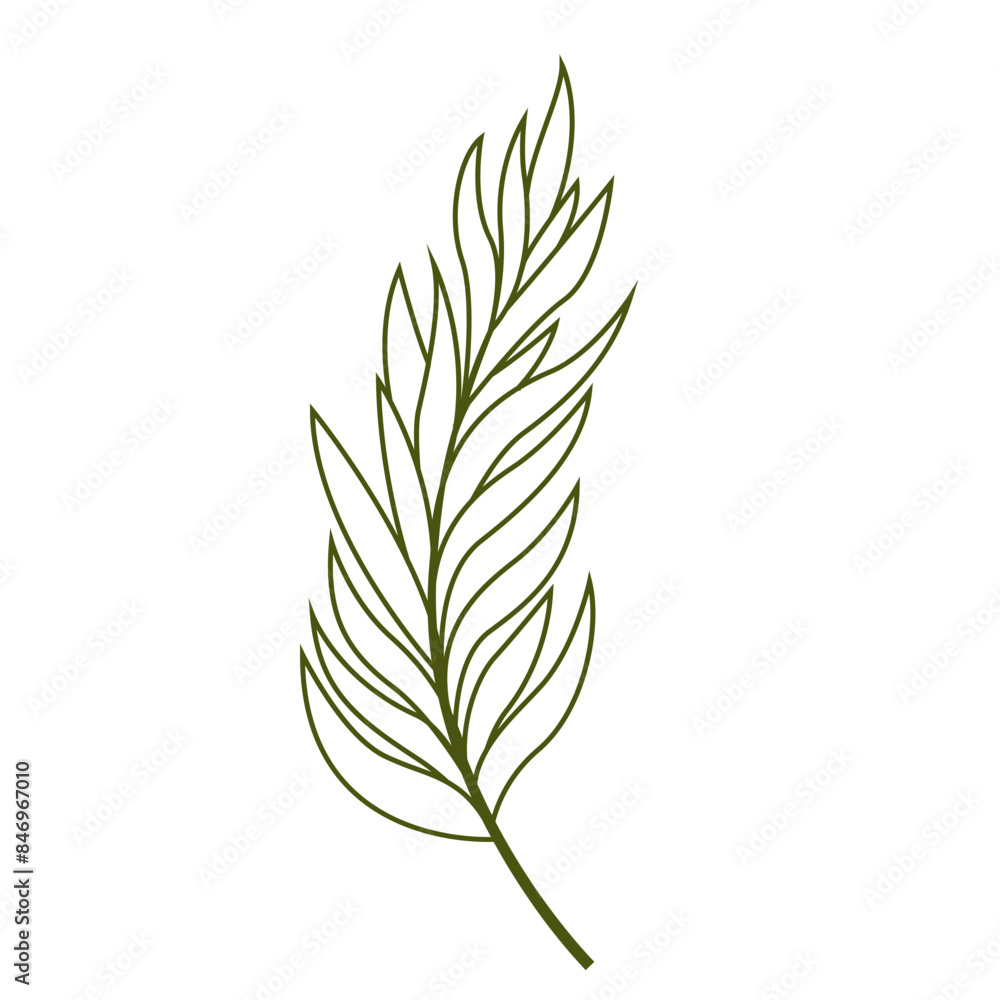 Naklejka premium Fresh Green Tropical Leaf Outline, Design Vector Element Flower and Leaves 