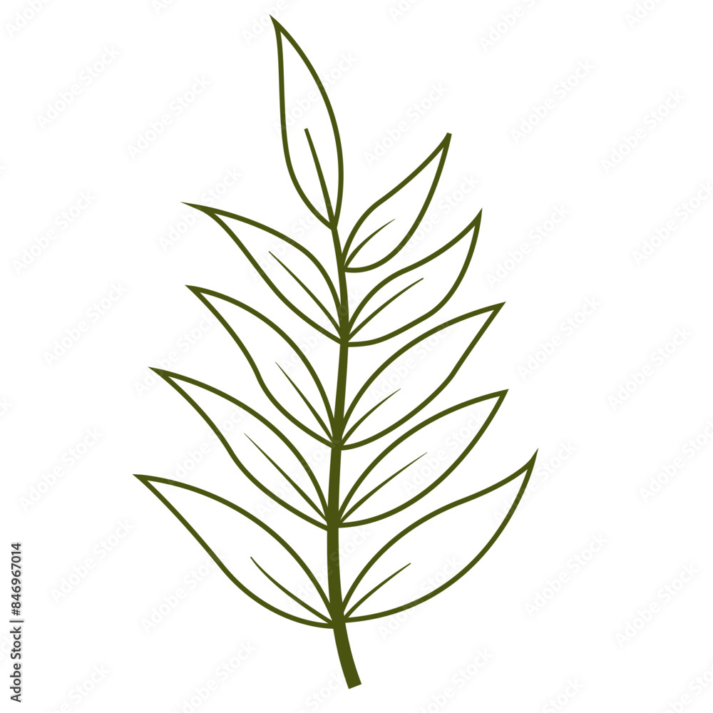 Fresh Green Tropical Leaf Outline, Design Vector Element Flower and Leaves Fresh Green Tropical Leaf Outline, Design Vector Element Flower and Leaves