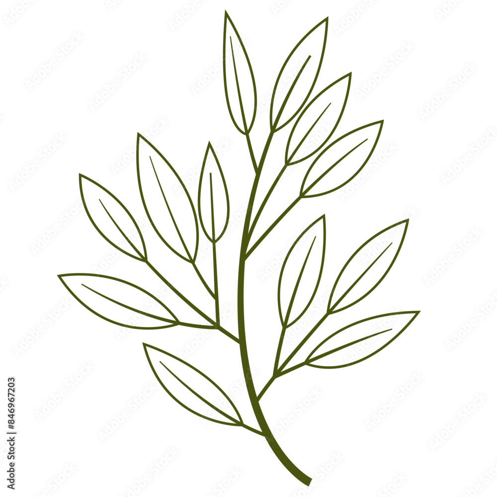 Fototapeta premium Hand Drawn Leaf and Flower, Foliage and Floral Clipart Design