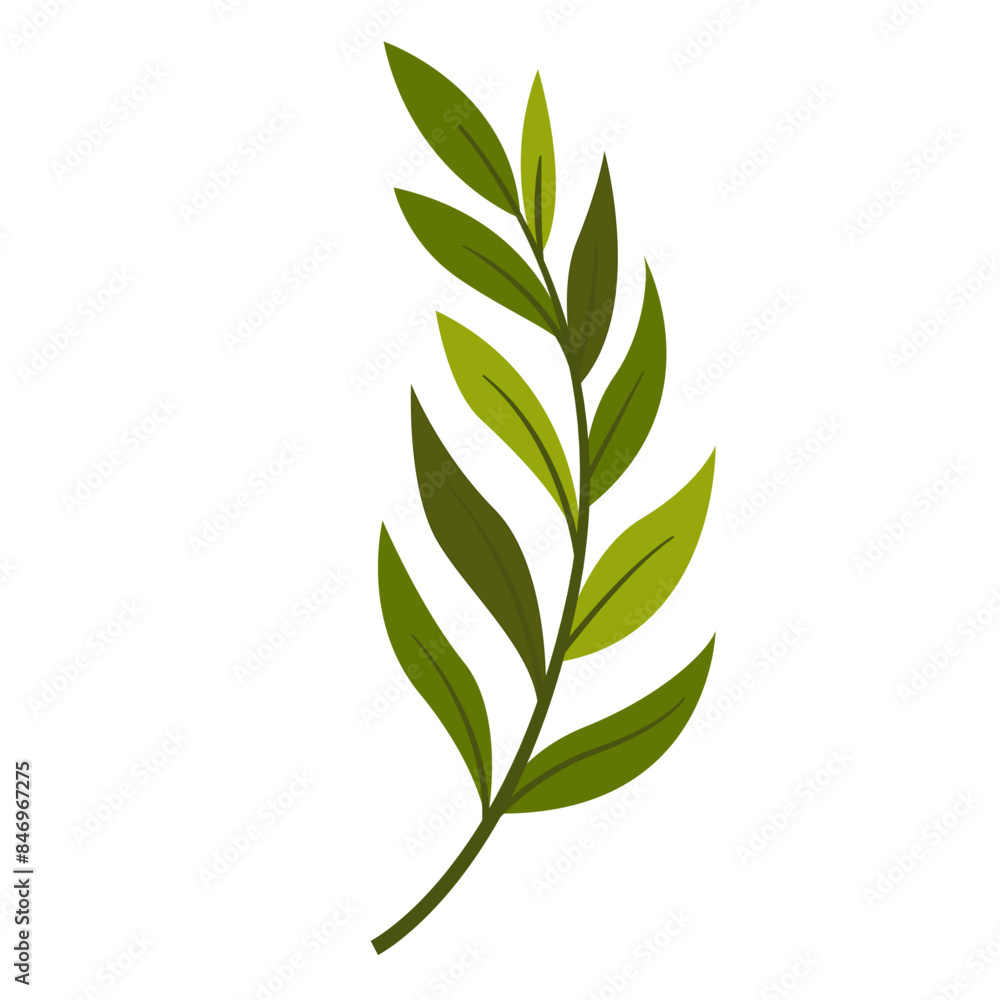 Hand Drawn Leaf and Flower, Foliage and Floral Clipart Design Hand Drawn Leaf and Flower, Foliage and Floral Clipart Design