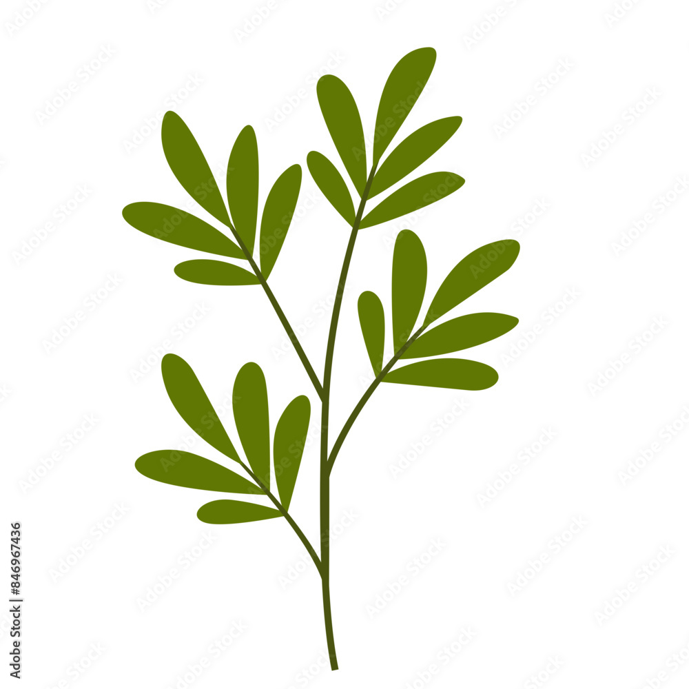 Naklejka premium Hand Drawn Leaf and Flower, Foliage and Floral Clipart Design