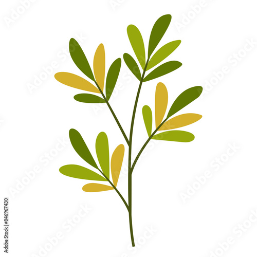Hand Drawn Leaf and Flower  Foliage and Floral Clipart Design