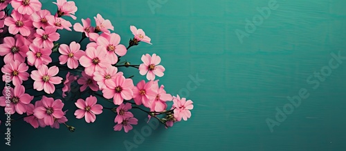 Pink blossoms beautifully contrasting against a vibrant teal background. with copy space image. Place for adding text or design photo