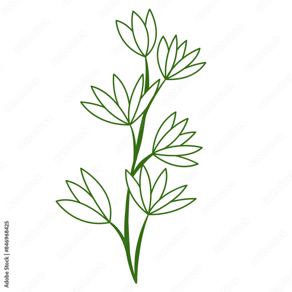 Naklejka premium Greenery Tropical Leaf Plant Outline, Decorative Element Design 