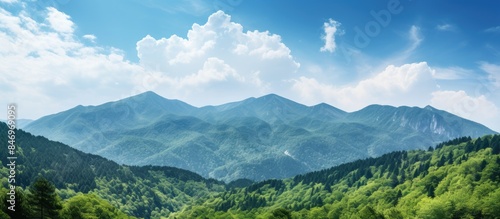 Mountain range covered in lush trees under clear blue sky on a sunny day. with copy space image. Place for adding text or design © vxnaghiyev