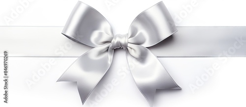 Silver gift wrapping bow pl...