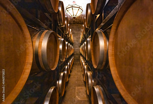Oak barrels in the cellar of the winery