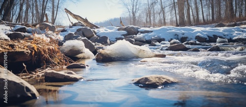 Remnants of winter showing ...