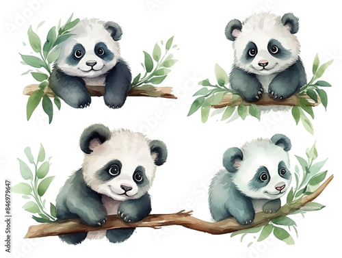 Set of cute baby panda bear on the tree branch watercolor isolated white background. Vector illustration