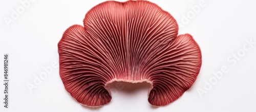 Detailed view of a single m...