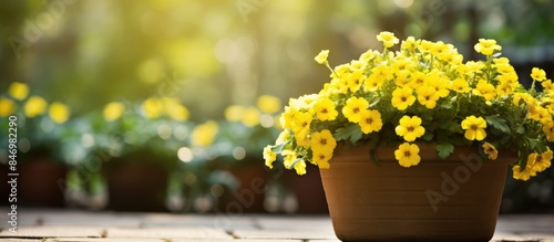 Bright yellow flowers arran...