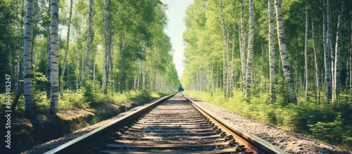 Railroad tracks winding thr...