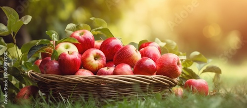 Basket full of apples on gr...