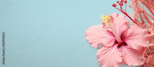 Vibrant pink flower delicat...