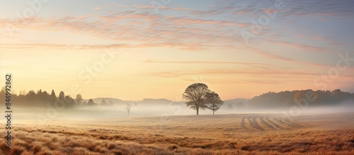 Amidst the misty ambiance o...