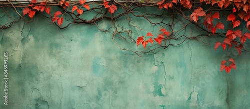 Red and green vines with le...