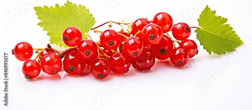 Bunch of fresh red currants...