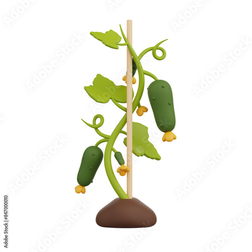 Climbing cucumber 3D render icon photo