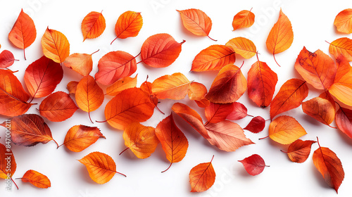 Falling flying autumn leaves background. realistic autumn yellow leaf isolated on white background. fall sale background