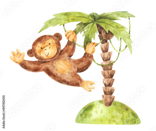 Photography Little monkey hanging on palm