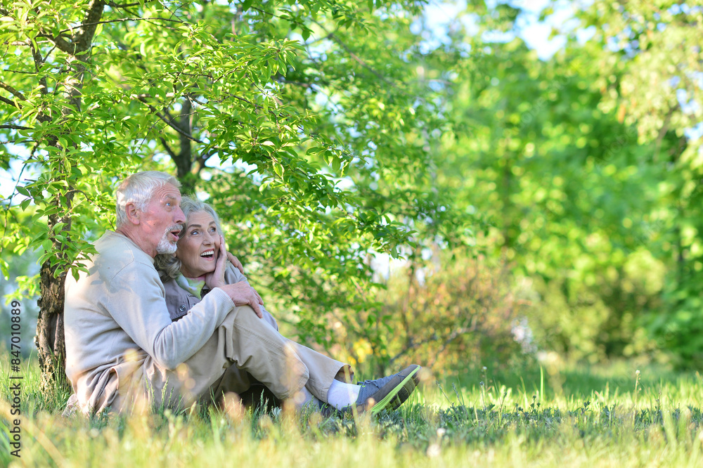 Obraz premium Portrait of senior couple sitting on the grass in the park