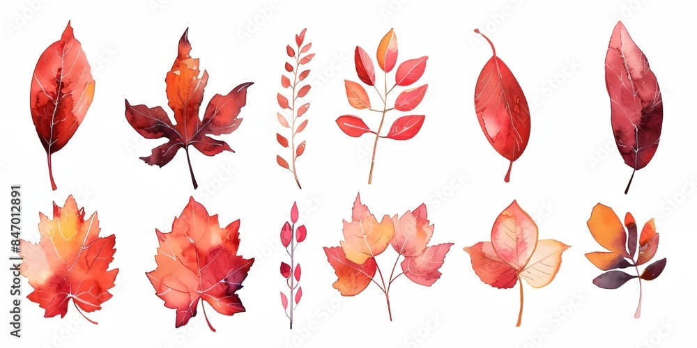 Fototapeta premium bunch of different types of leaves on a white background